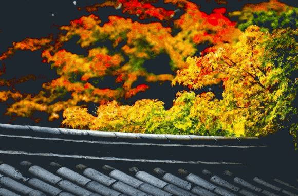 Nếu bạn không muốn bị coi thường, đừng nói những lời này trước mặt người khác, đây là EQ cao-4