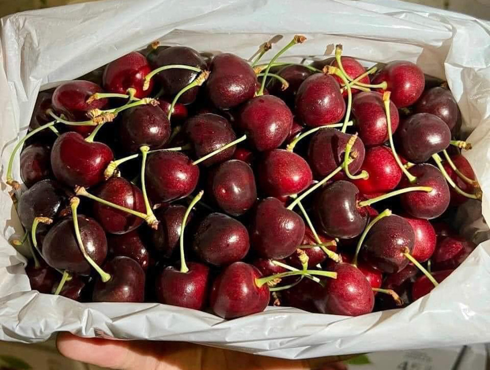 Loại trái cây nhập khẩu sang chảnh ồ ạt về chợ Việt, giá rẻ hiếm thấy-2