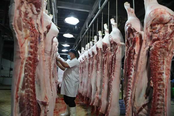 Đồ tể mất mạng khi lợn trong lò mổ bất ngờ tỉnh lại-1