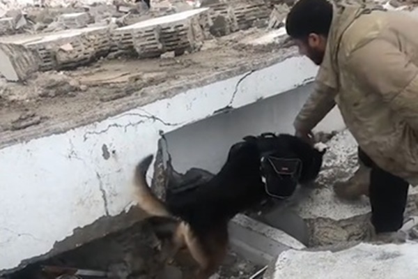 Câu chuyện đau lòng về người đàn ông mất cả gia đình trong động đất ở Thổ Nhĩ Kỳ-8