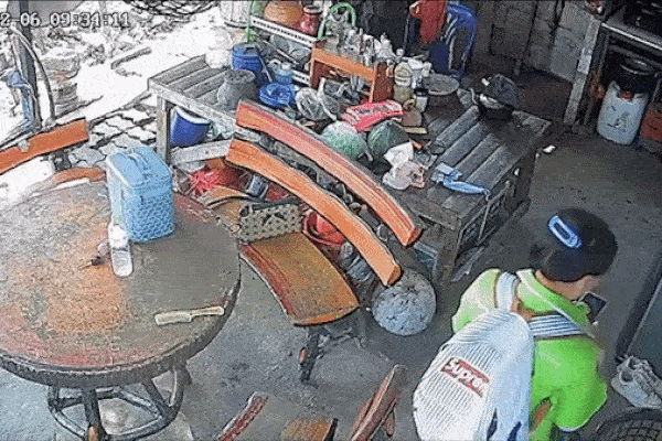 Clip: Dẫm phải rắn hổ mang, người phụ nữ hoảng sợ la hét