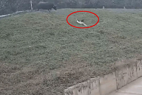 Đại tá quân đội nghỉ hưu chết trong ô tô cách nhà 15m-2