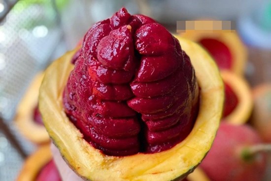 Gấc đã cuối mùa nhanh tay làm cách này để gấc cả năm màu vẫn đẹp, cần lúc nào có ngay lúc đó