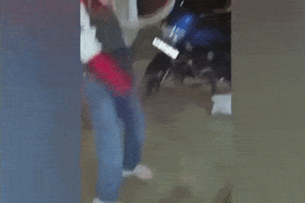 Clip: Chạm mặt rắn hổ mang chúa, người phụ nữ hoảng sợ bỏ chạy-1