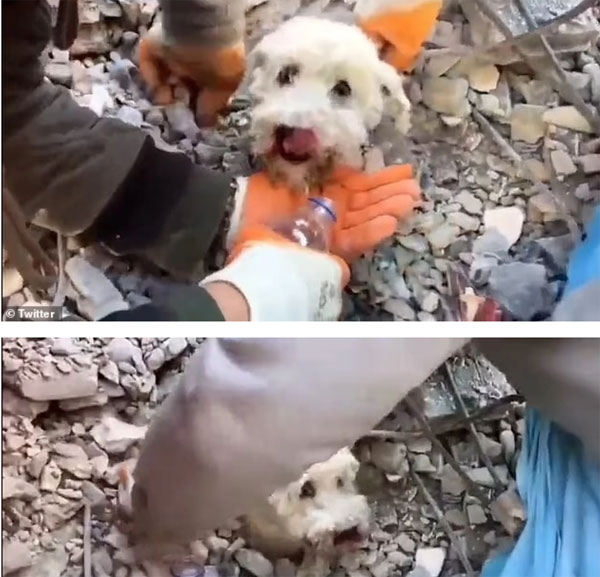 Nhói lòng hình ảnh cậu bé nhấp từng ngụm nước bằng nắp chai để duy trì sự sống, 45 giờ chiến đấu kiên cường-4