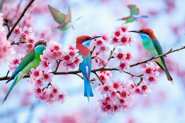 Tháng Giêng chưa qua, 3 con giáp bước lên thảm đỏ, quý nhân vô số, năm mới vạn phúc-1