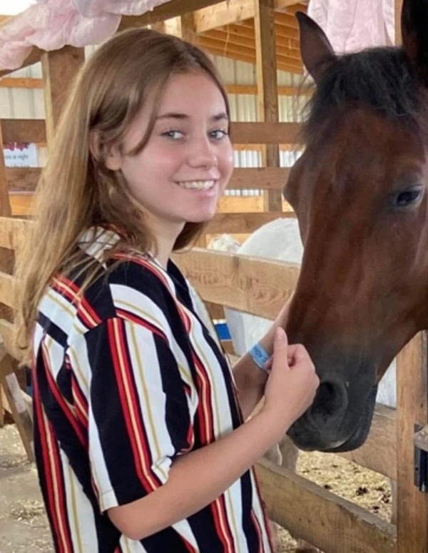 Nữ sinh 14 tuổi tự sát vì bị bạn đánh hội đồng, tung clip lên mạng-1