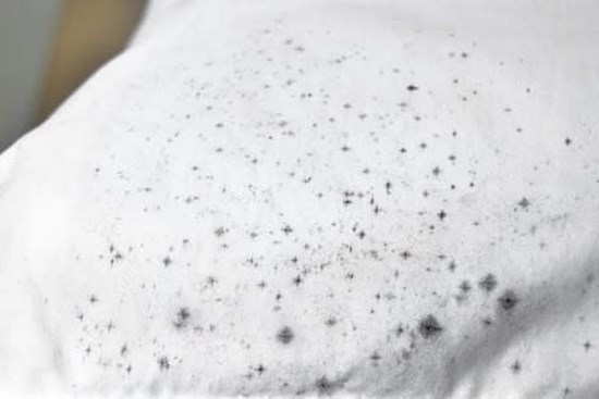 Quần áo trắng bị mốc li ti giặt xà phòng không sạch, đem ngâm với thứ này trắng tinh như mới