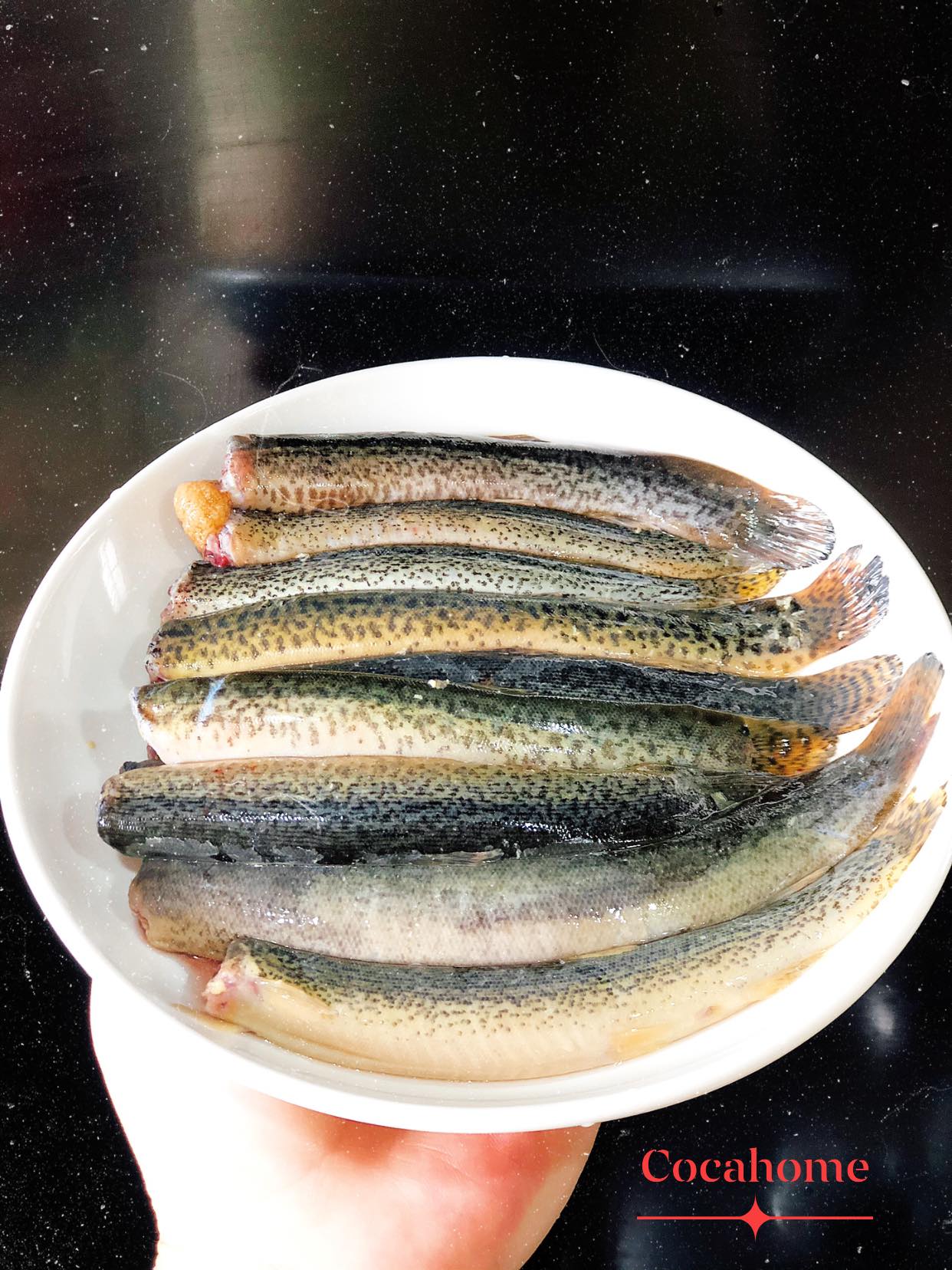 Kho cá chạch với loại nguyên liệu này, đảm bảo không tanh mà thơm nức mũi-3