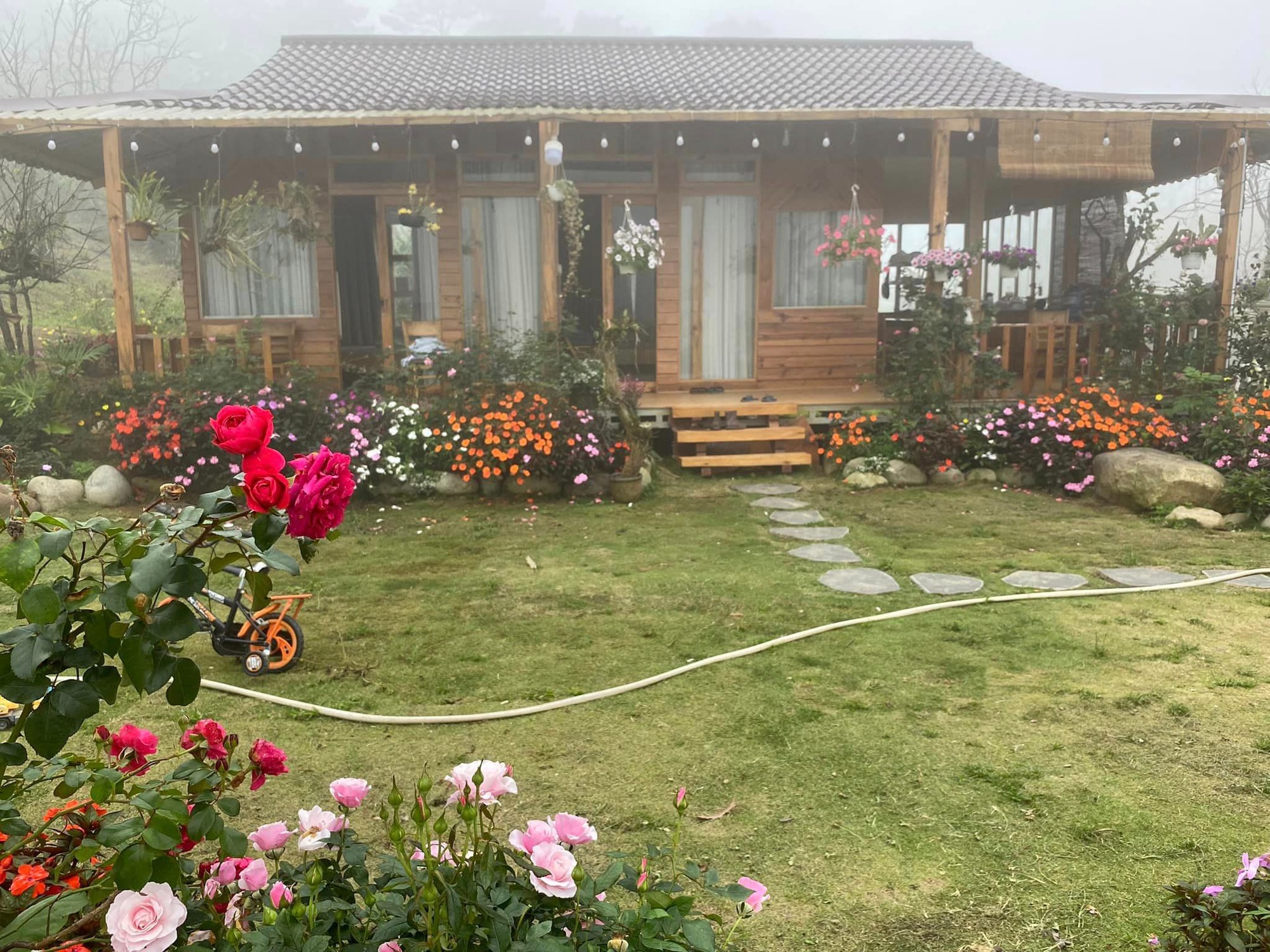 Ngôi nhà gỗ 40m² đẹp như cổ tích giữa hoa cỏ và mây trời ở Lâm Đồng-2