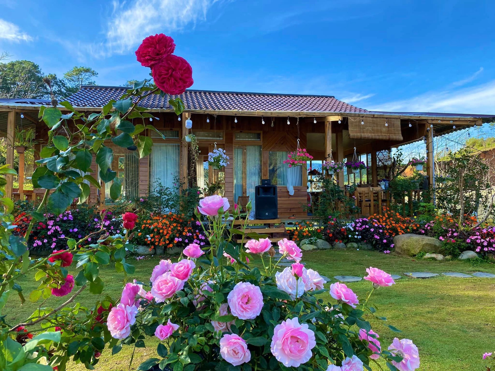 Ngôi nhà gỗ 40m² đẹp như cổ tích giữa hoa cỏ và mây trời ở Lâm Đồng-3