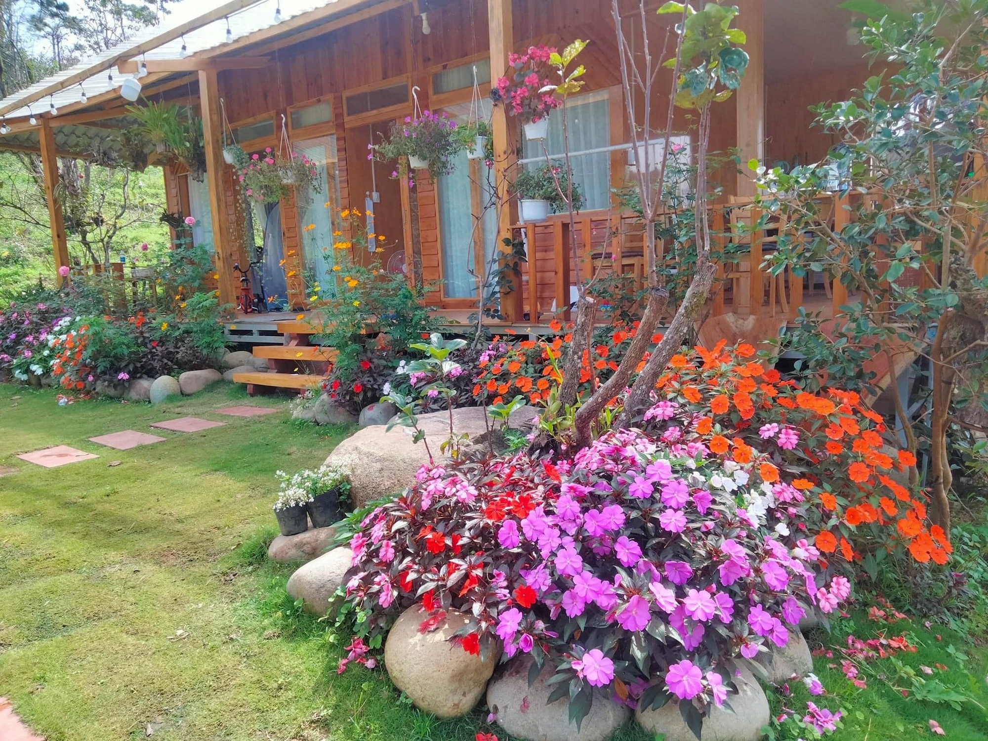 Ngôi nhà gỗ 40m² đẹp như cổ tích giữa hoa cỏ và mây trời ở Lâm Đồng-4