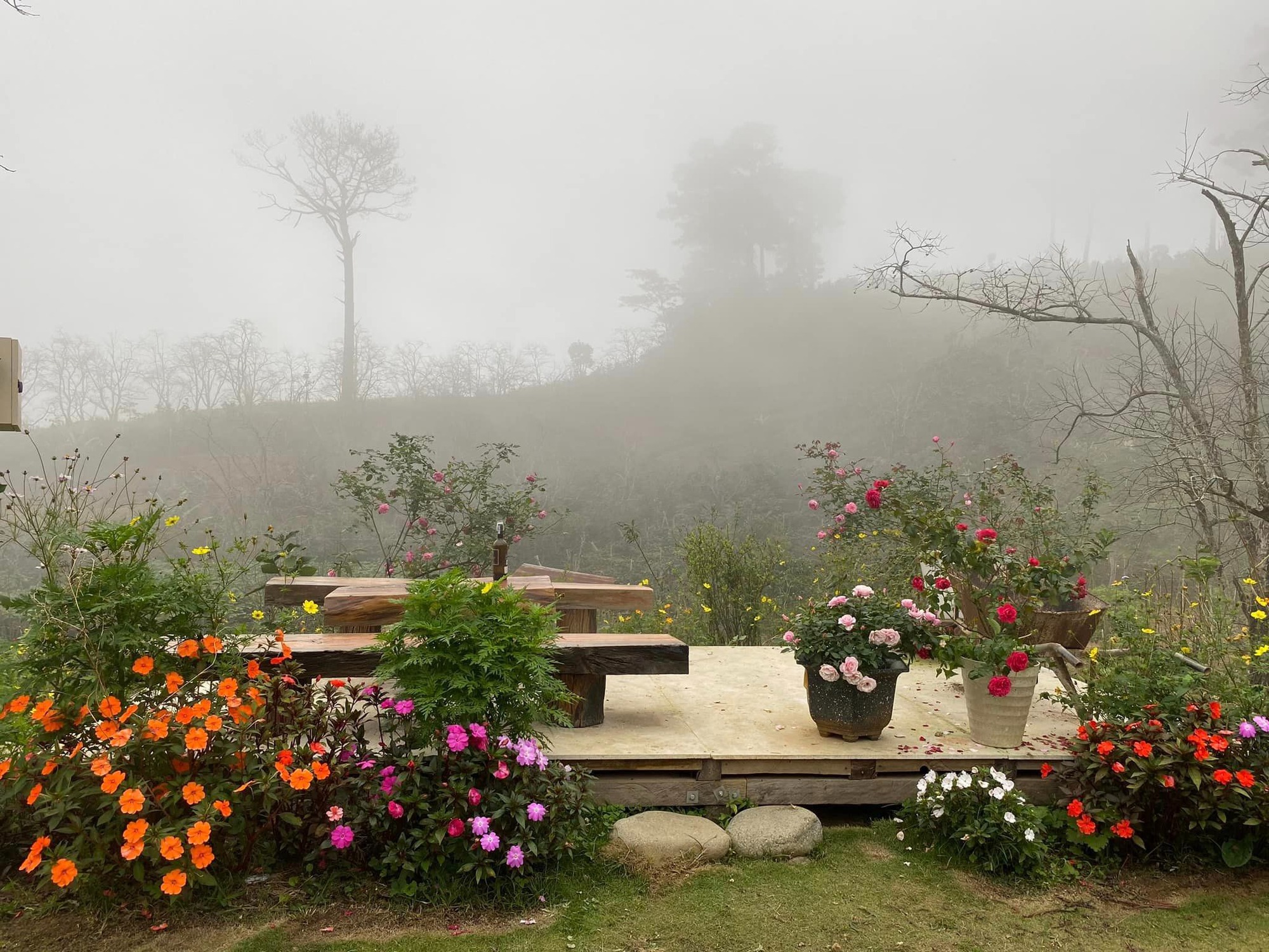 Ngôi nhà gỗ 40m² đẹp như cổ tích giữa hoa cỏ và mây trời ở Lâm Đồng-5