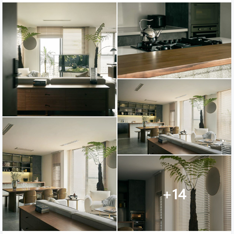 Ưu tiên mục đích sinh hoạt, nam chủ nhân dành hầu hết không gian sống cho bếp - ngủ - làm việc nhưng vẫn tinh tế và đẳng cấp-1