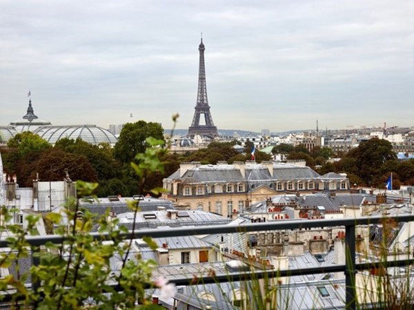 Khu vườn trên mái xanh mướt với tầm nhìn thẳng ra tháp Eiffel-1
