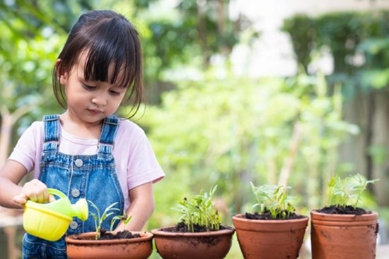 Cách giúp con nuôi dưỡng tình yêu thiên nhiên