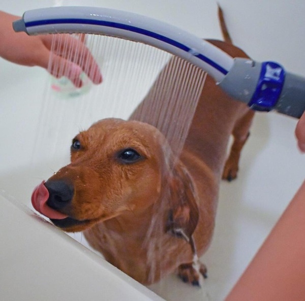 13 món đồ thực sự là phát minh đỉnh cao-5