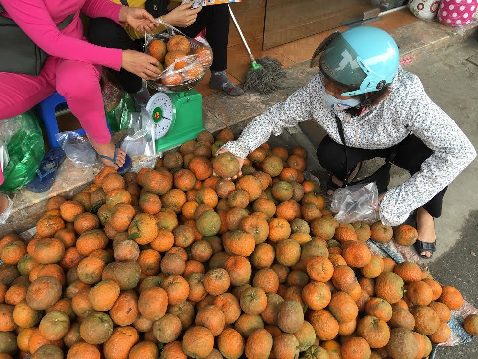 Vào chính vụ cam sành bán chạy vì giá rẻ-5