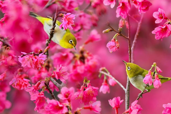 3 con giáp gặp họa tiểu nhân, khó khăn chồng chất tuần mới-2