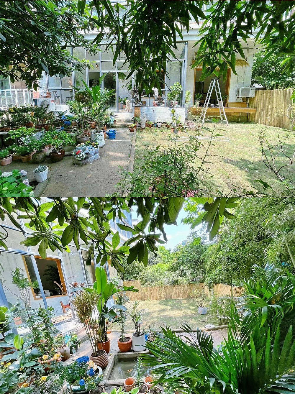 Cải tạo thành công khu vườn, cô gái 9x tận hưởng cuộc sống thư thái như đi dã ngoại tại nhà-1