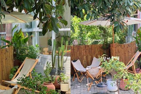 Khu vườn sân thượng ngập tràn rau quả xanh mướt mắt ở Hải Phòng-11