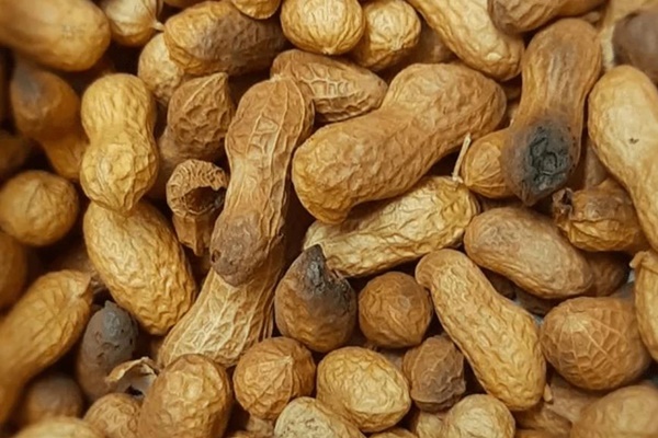 Ung thư gan khó điều trị, nhóm người có nguy cơ cao mắc bệnh-2