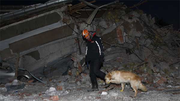 Chú chó cứu hộ ở Thổ Nhĩ Kỳ: Bị thương vẫn miệt mài tìm kiếm nạn nhân động đất-1