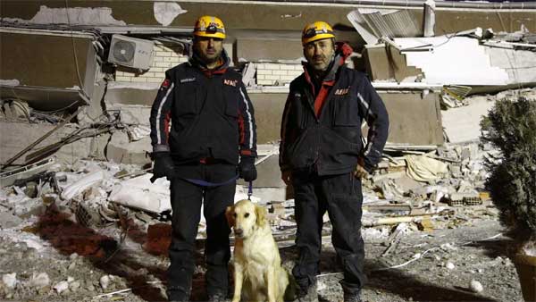 Chú chó cứu hộ ở Thổ Nhĩ Kỳ: Bị thương vẫn miệt mài tìm kiếm nạn nhân động đất-7