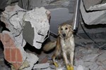 Đằng sau bức hình ám ảnh trong động đất ở Thổ Nhĩ Kỳ: Tôi không thể cứu con gái-3