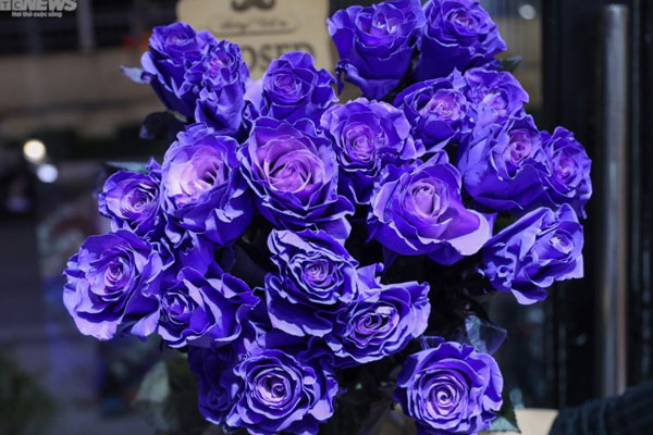 Cảnh báo vi phạm pháp luật khi tặng người thương những bó hoa tiền-2