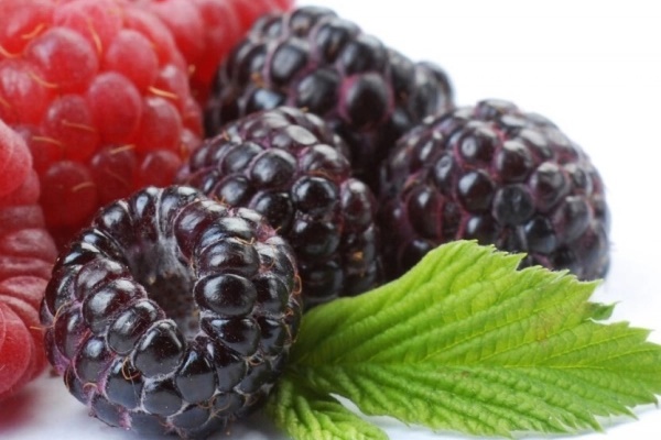 Loại ung thư dễ gặp ở người mới ngoài 40 tuổi-2