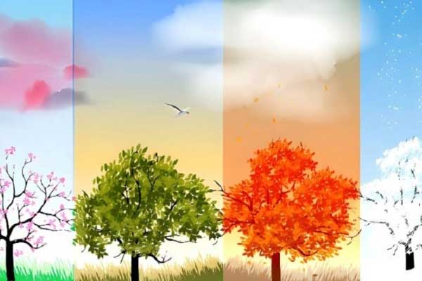 Tử vi vui 12 cung hoàng đạo ngày 16/2: Sư Tử thuận lợi, Bọ Cạp được giúp-2