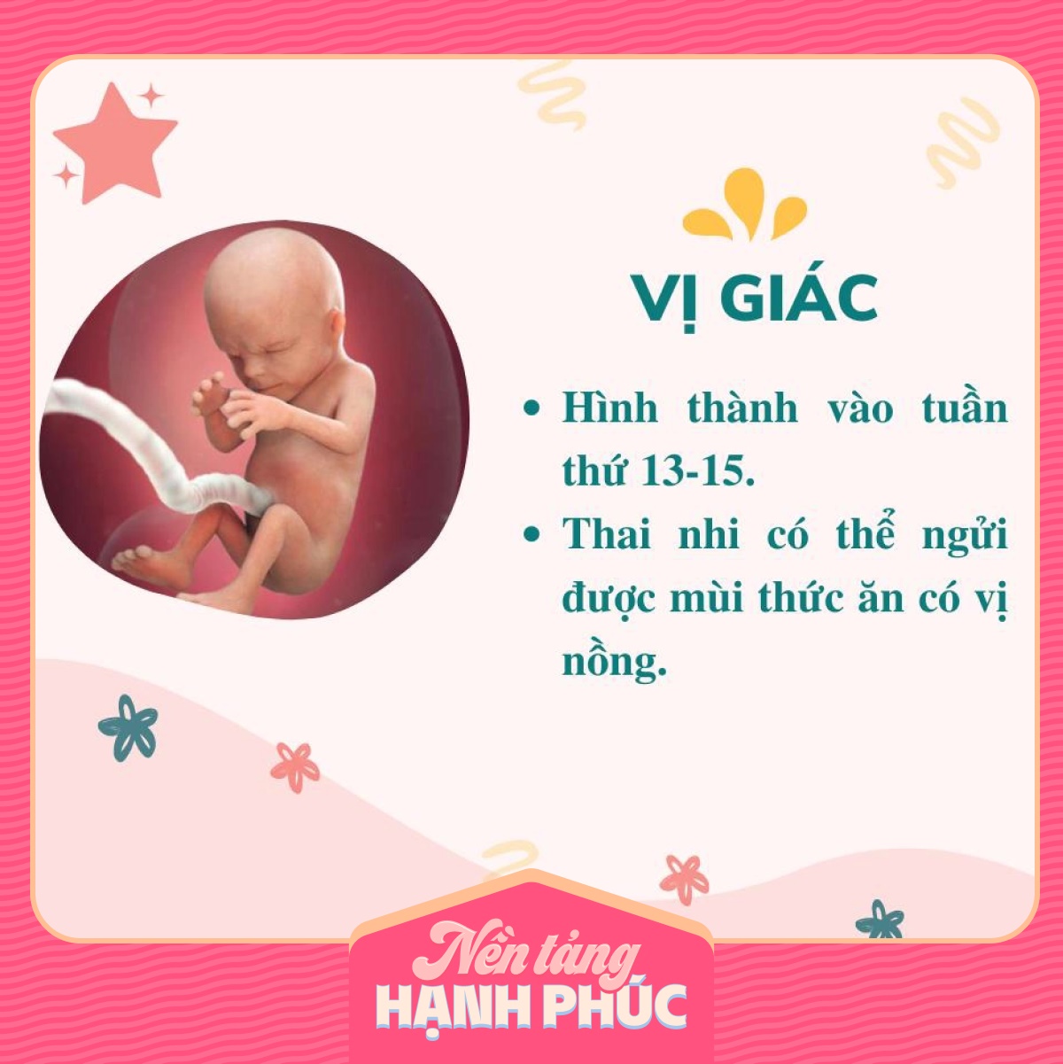 Mẹ có biết các giác quan của thai nhi phát triển theo từng tháng trong bụng mẹ như thế nào?-3