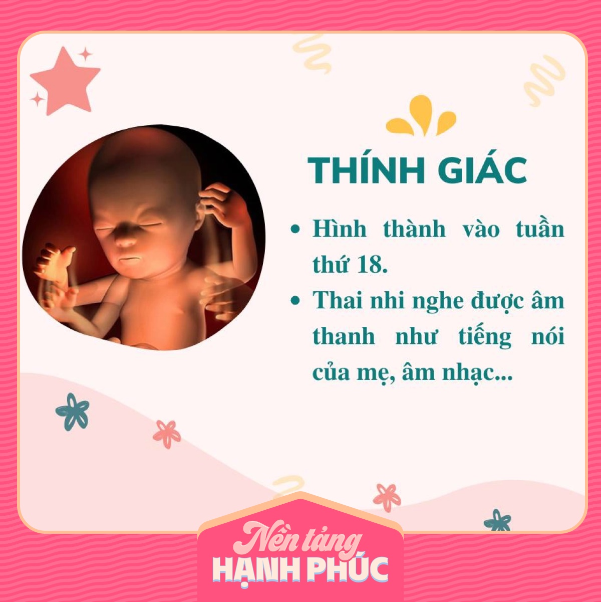 Mẹ có biết các giác quan của thai nhi phát triển theo từng tháng trong bụng mẹ như thế nào?-4