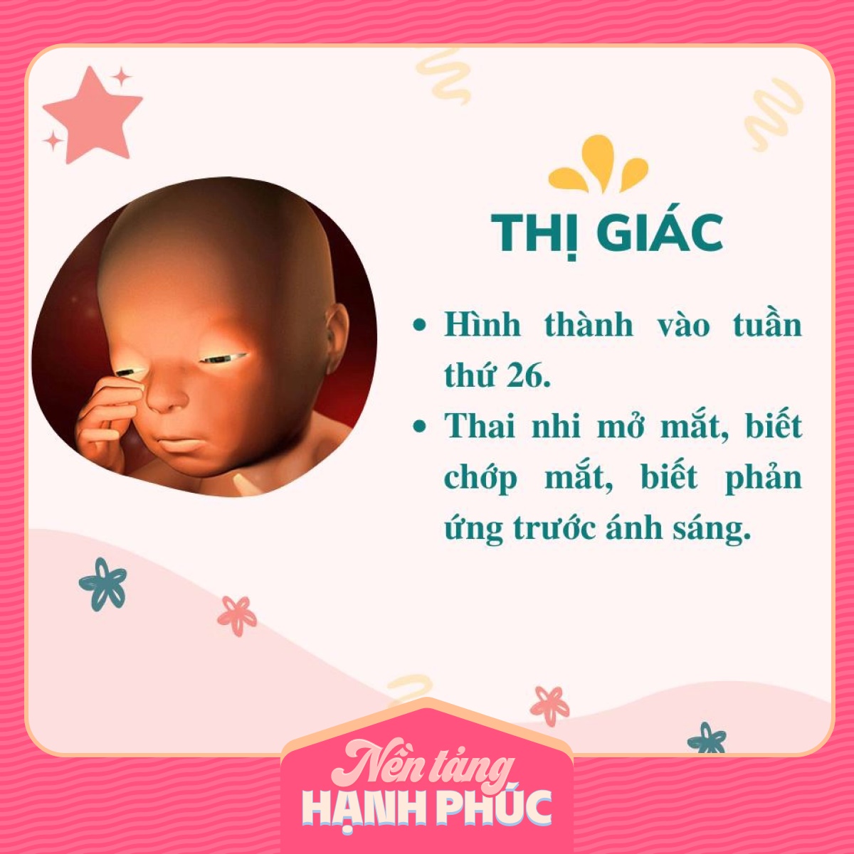 Mẹ có biết các giác quan của thai nhi phát triển theo từng tháng trong bụng mẹ như thế nào?-5