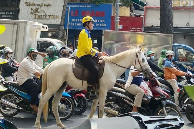 Xử phạt người đàn ông cưỡi ngựa khắp trung tâm TP.HCM-1