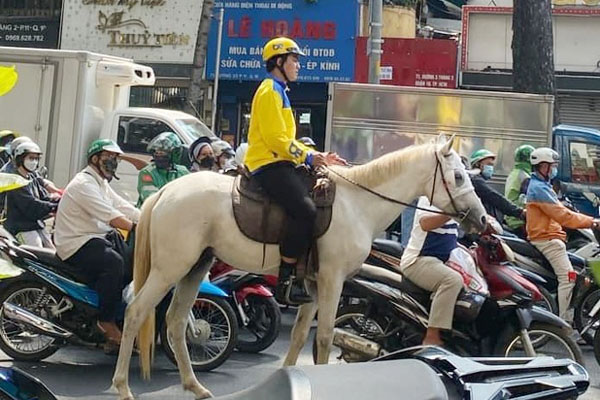 Nam thanh niên Hà Nội mở tiệc ma túy suốt 23 tiếng-2