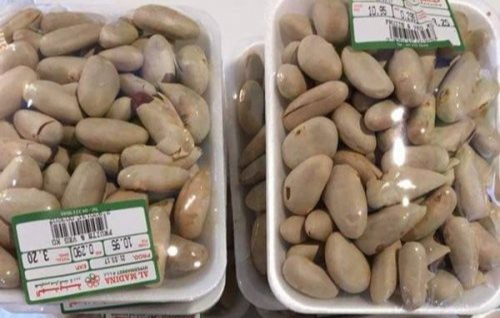 Lạ kỳ hạt mít được bán giá siêu đắt ở Nhật, lý do khiến nhiều người bất ngờ-1