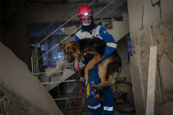 Chú chó ở bên thi thể chủ suốt 6 ngày sau động đất Thổ Nhĩ Kỳ-1