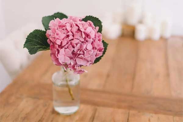 Nửa cuối tháng 2, 3 con giáp nhận nhiều cơ hội, thu hái bộn tiền, tương lai rực rỡ-2