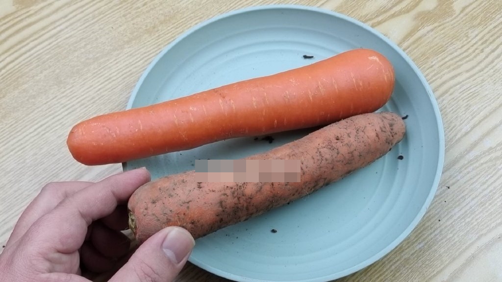 Cà rốt nên chọn củ có bùn hay không bùn? Hiểu sớm có lợi sớm, đừng mua lung tung-4