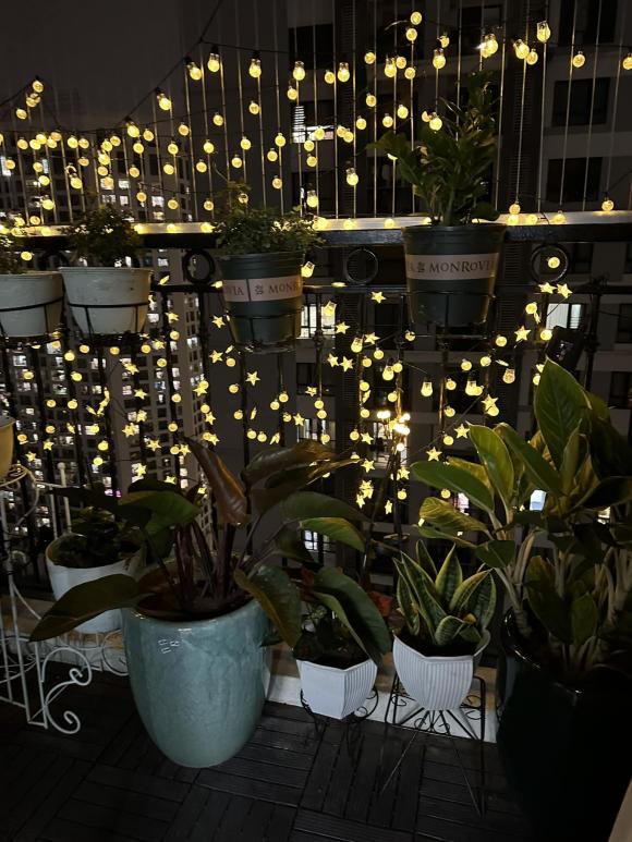 Góc yêu thích của vợ nghệ sĩ Công Lý trong căn nhà thuê-2