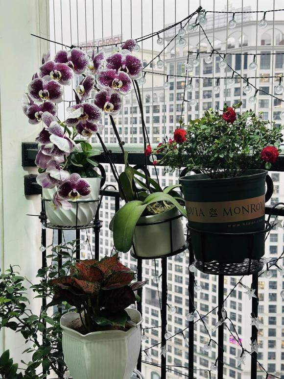 Góc yêu thích của vợ nghệ sĩ Công Lý trong căn nhà thuê-5