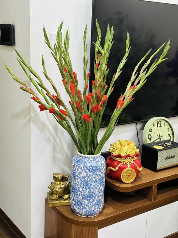 Góc yêu thích của vợ nghệ sĩ Công Lý trong căn nhà thuê-8