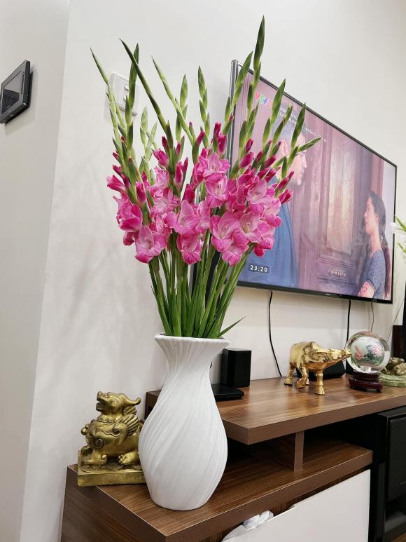 Góc yêu thích của vợ nghệ sĩ Công Lý trong căn nhà thuê-9