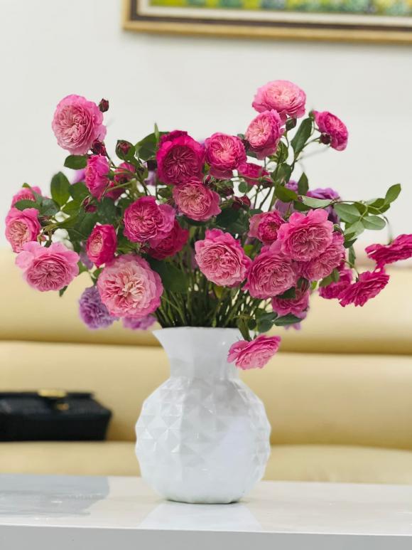 Góc yêu thích của vợ nghệ sĩ Công Lý trong căn nhà thuê-12