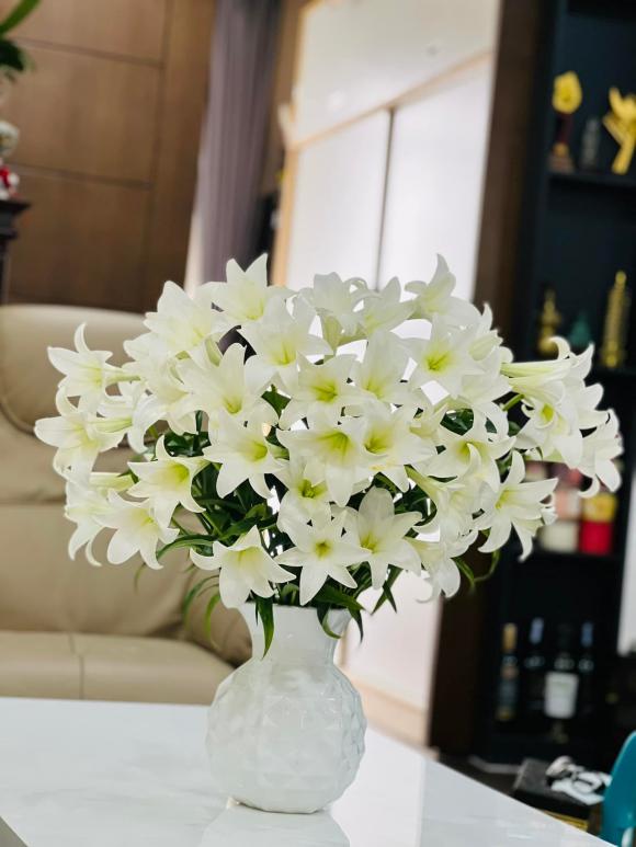 Góc yêu thích của vợ nghệ sĩ Công Lý trong căn nhà thuê-13