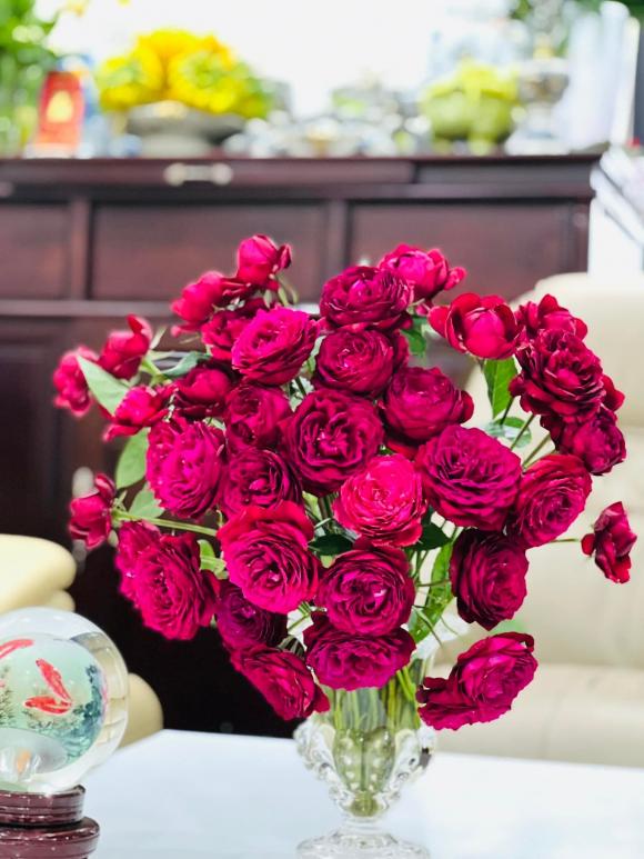 Góc yêu thích của vợ nghệ sĩ Công Lý trong căn nhà thuê-14