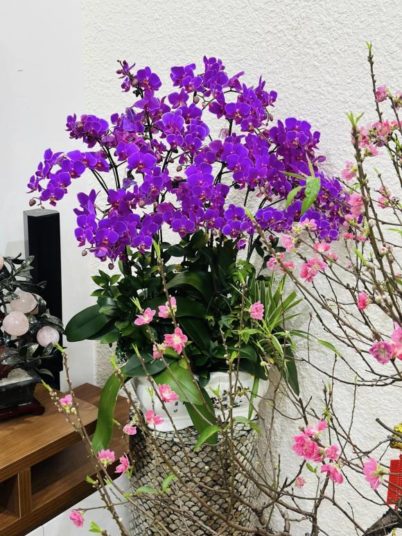 Góc yêu thích của vợ nghệ sĩ Công Lý trong căn nhà thuê-17