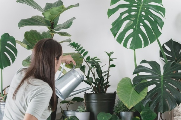 Mẹo vặt chữa đau răng hiệu quả tại nhà-4